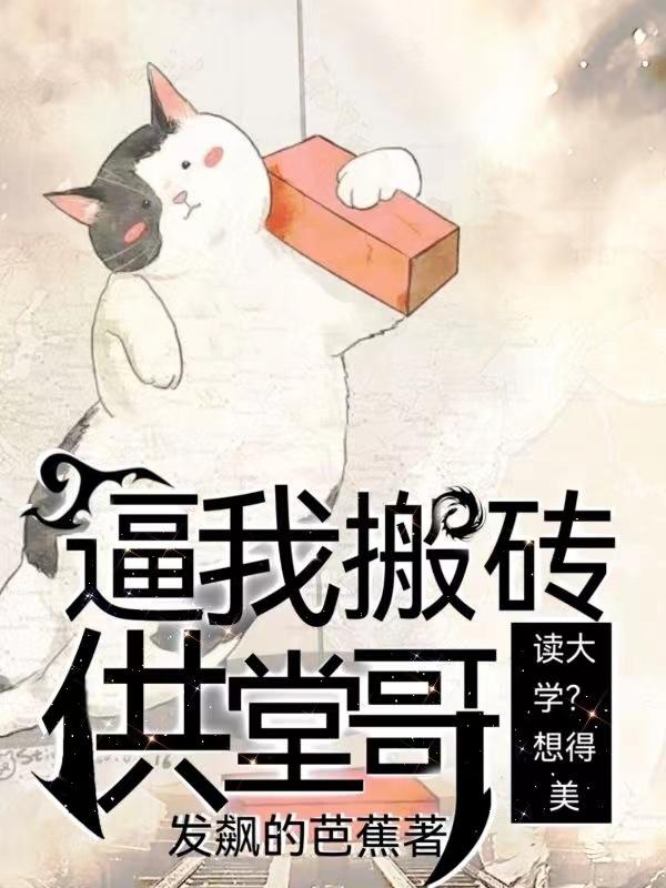 我搬砖供你读书